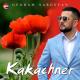 GEGHAM SARGSYAN (Гегам Саргсян) - Kakachner (Какачнер) (Cover) (www.BlackMusic.do.am) 2020