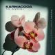 KARMACODA - Feels (Extrawelt Instrumental Remix)