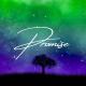 Babylonia - David Barqaia - Promise (Original Mix)
