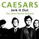 Caesars - Jerk it out (my cover)