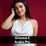 album image Arabic Remix - Oriental 2 (Elsen Pro Remix) ريمكس عربي - شرقي ( 2021)