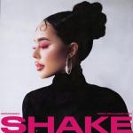 album image SHAKE (DJ TINOKI Remix) SHAKE - Single