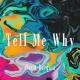 davit barqaia - Tell Me Why