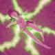 :wumpscut: - Die Liebe (Slow Motion Remix)