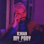 album image My Pony (Extended Mix) My Pony - Single