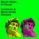 Mouth Water - Dr House (Lindstrøm Remix)