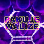 album image Pakuje Walize Pakuje Walize (feat. Zebraodzawsze & Zawad) - Single