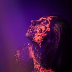 album image ID 20