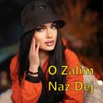 album image O Zalim O Zalim - Single