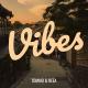 Неизвестен - TOMMO feat REEA -- VIBES (official video) by TOMMOPRODUCTION