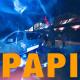 Dawid Artysta, Vłodarski - PAPI