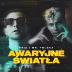 album image AWARYJNE ŚWIATŁA Awaryjne światła - Single