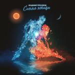 album image Синяя птица Синяя птица - Single