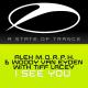 Woody van Eyden, Alex M.O.R.P.H. feat. Tiff Lacey - I See You