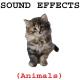 Sound Effects - Animal / Lion's Roar
