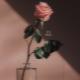 TOP 300 DFM - Tu Me Manques (Missing You) (DFM MIX)