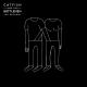 Catfish and the Bottlemen - Pacifier