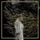 Forest Swords - Friend, You Will Never Learn