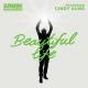 Armin Van Buuren & Cindy Alma - Beautiful Life (Protoculture Rmx)