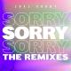 Joel Corry - Sorry (James Hype Extended Mix)