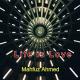 Mahfuz Ahmed - Life Is Love