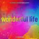 Klub Rider - Wonderful Life (Klub Rider Remix)