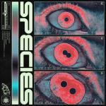 album image None Of Your Business SPECIES - EP