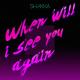 Shakka - When Will I See You Again (TikTok Remix)