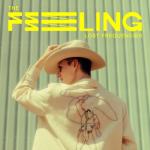 album image The Feeling (Amice Remix) The Feeling - Single