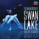 Mariinsky Orchestra, Valery Gergiev - Tchaikovsky: Swan Lake, Op. 20 - Mariinsky Version / Act 1 - Scene 2: Scène. Moderato