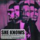 Dimitri Vegas & Like Mike feat. David Guetta & Afro Bros & Akon - She Knows (3 Are Legend & Mandy Remix)