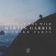 Martin Garrix & Third ≡ Party - Lions In The Wild (Orchestral Intro Edit)