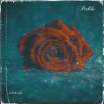 album image Alper Eğri - Pablo Pablo (Remix) #Tiktok