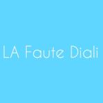 album image La Faute Diali La Faute Diali - Single