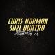 Suzi Quatro & Chris Norman - Stumblin in (Absolute Remix)
