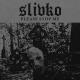 Slivko - Shit Club