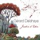 Gérard Delahaye - Fest Noz