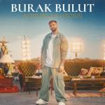 album image Ayrılıklar Gecesi Ayrılıklar Gecesi - Single