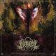 DIVINITIST - THE AUTHORITY ON THIS KING (feat. Rok Rupnik from Within Destruction)