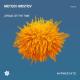 Metodi Hristov - Afraid of the Time (Original Mix)