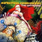 album image infected mushroom - psycho Forest of the Saints