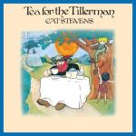 album image Wild World The Very Best Of Cat Stevens