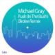 Michael Gray - Push (In the Bush) (Birdee Remix)