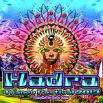 album image Healing Process Hadra Trance Festival 2013 (Compiled By Hadra Team)