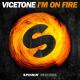 Candi Staton, Doc M.C., Dr. Shiver vs Vicetone - You Got The Love On Fire (Wavers Mashup)