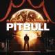 Pitbull feat. Usher, Afrojack - Party Ain't Over