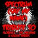 Florence + The Machine - Spectrum (Say My Name) (David Guetta 2021 Remix)
