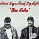 ahmet kaya - giderim (remix)