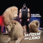 album image On fait la fête La fosse aux lions