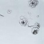 album image Pores Peace in Drifts
